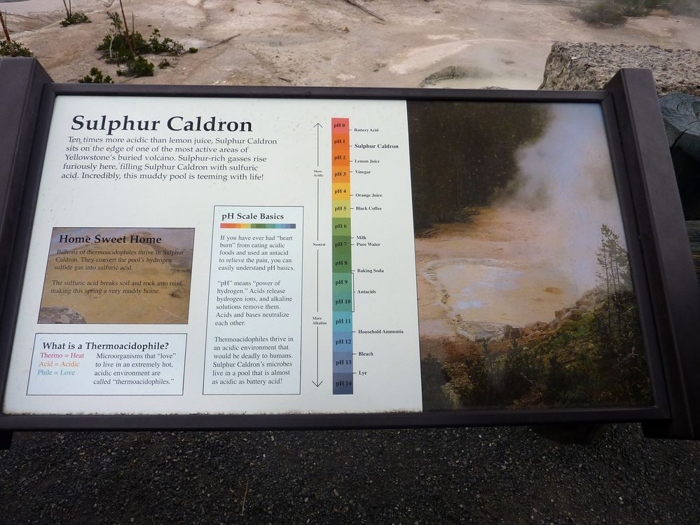 Yellowstone Mud Volcano Area (32).JPG